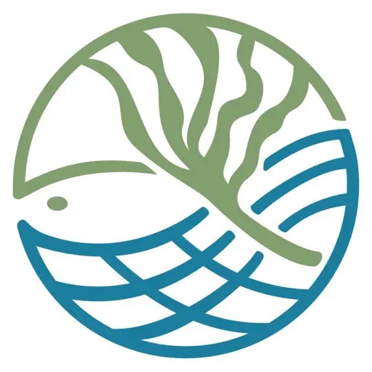 Solving FCB Podcast&nbsp;(2025)